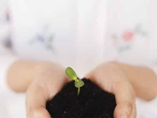 Top 10 klustips voor beginners